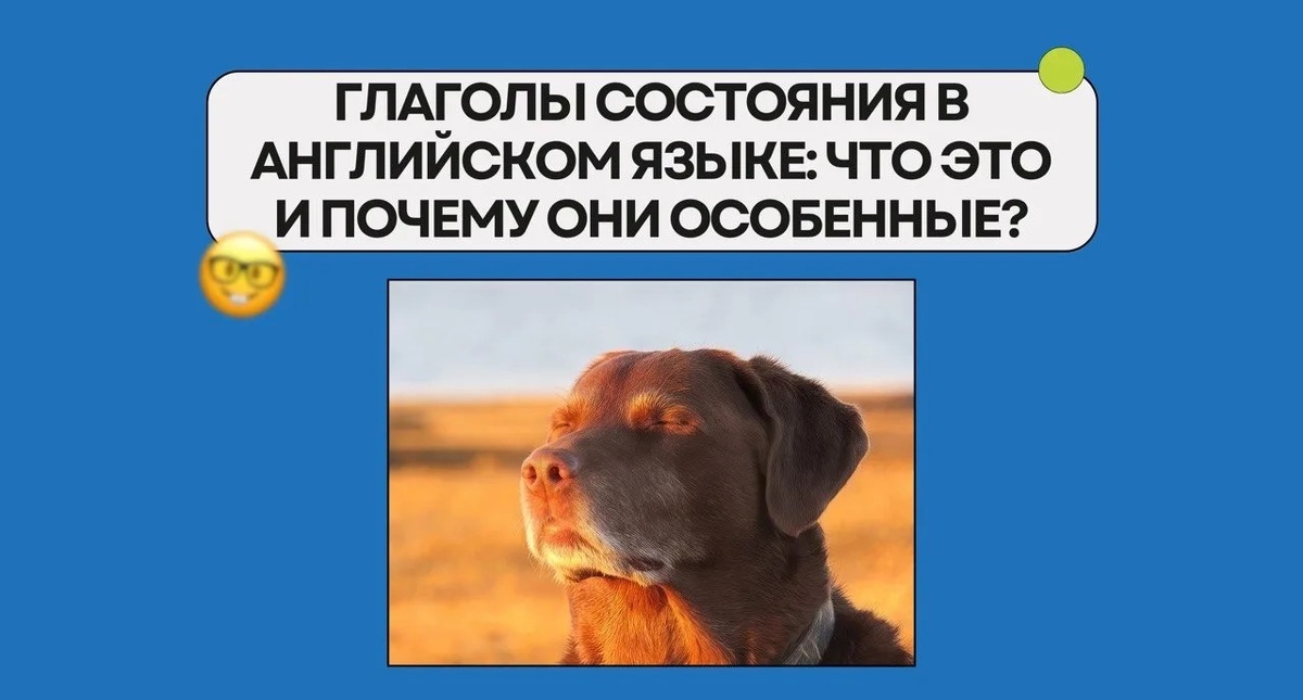 Изображение: Family English