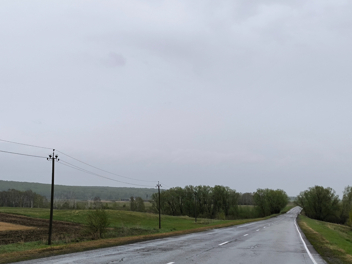По дороге меж Плотниково и Панфилово