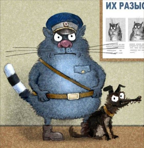 очаровательный котик Рины Зенюк