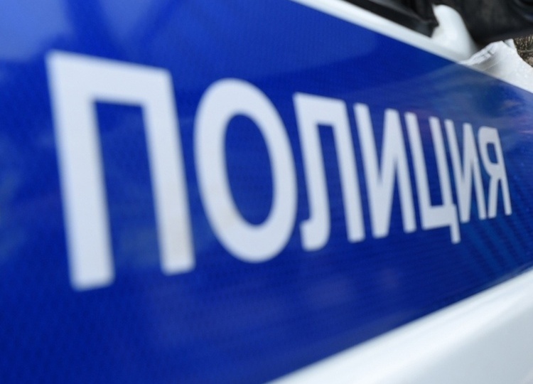 В Курске на ПЛК грузовик насмерть сбил 76-летнюю женщину