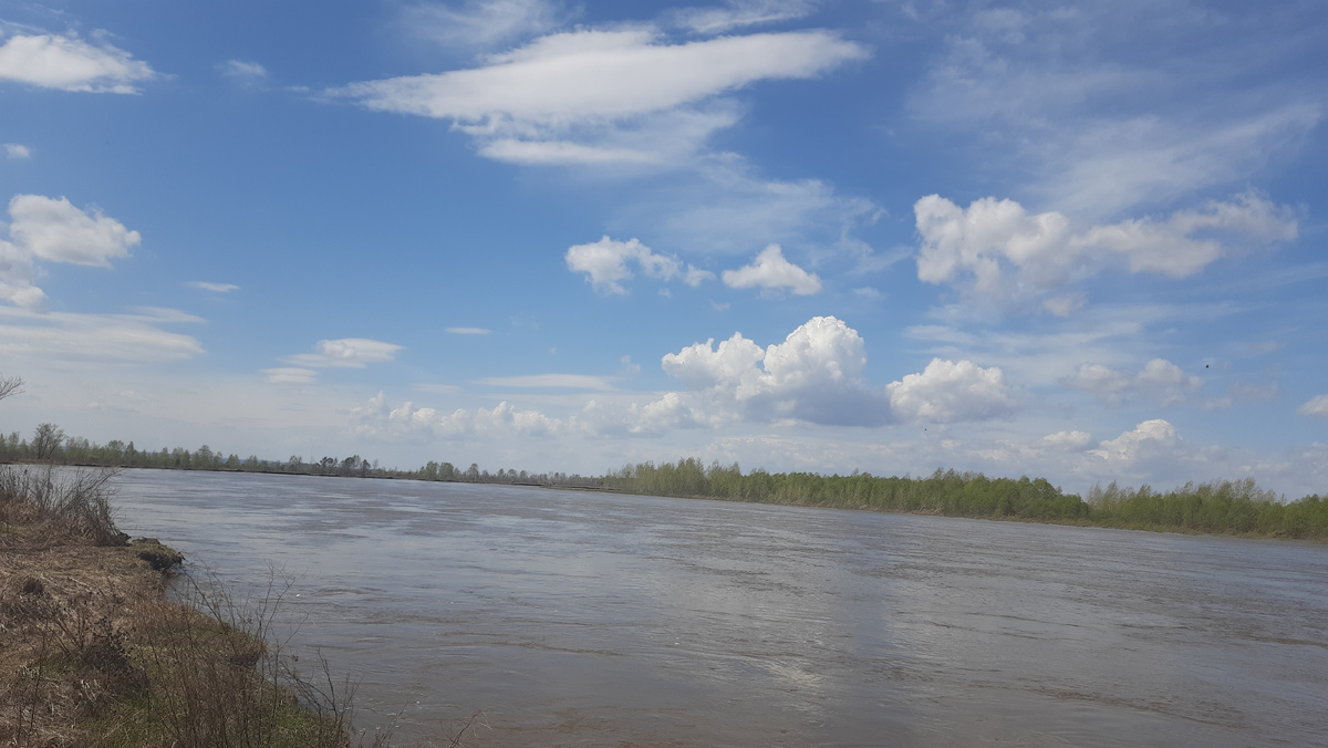 Река Чулым