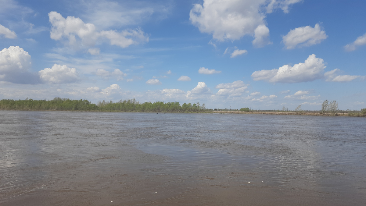 Река Чулым