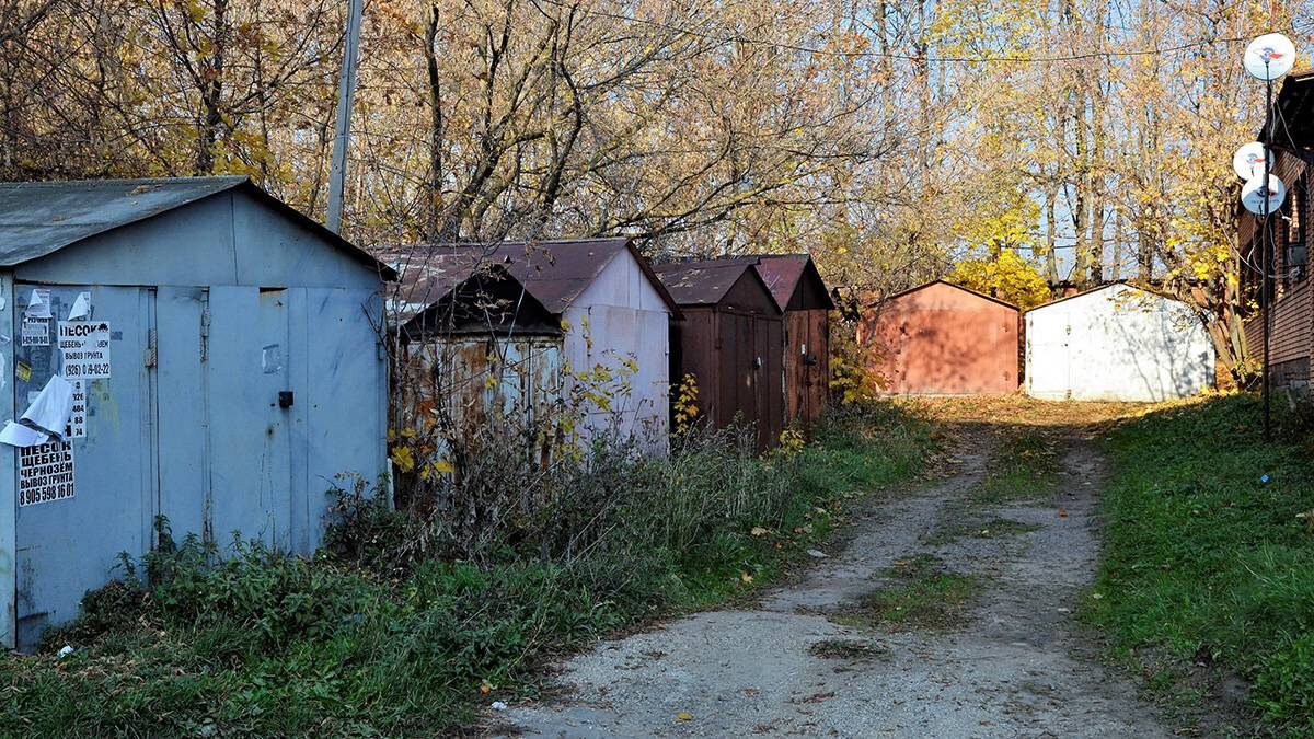    Фото: Анна Быкова / Вечерняя Москва