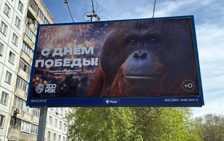 Мэр Новосибирска Кудрявцев и местный губернатор Травников вот так поздравили население города и области с Днем победы.