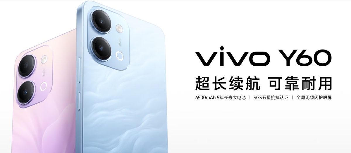    Vivo Y60