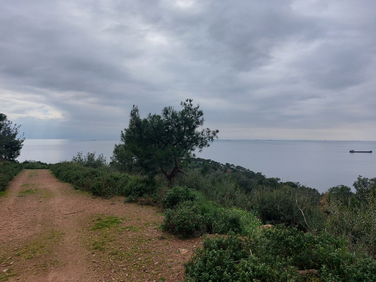 Природа острова