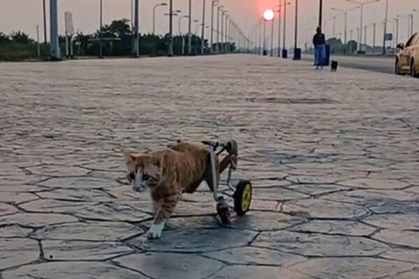Соцсети    📷