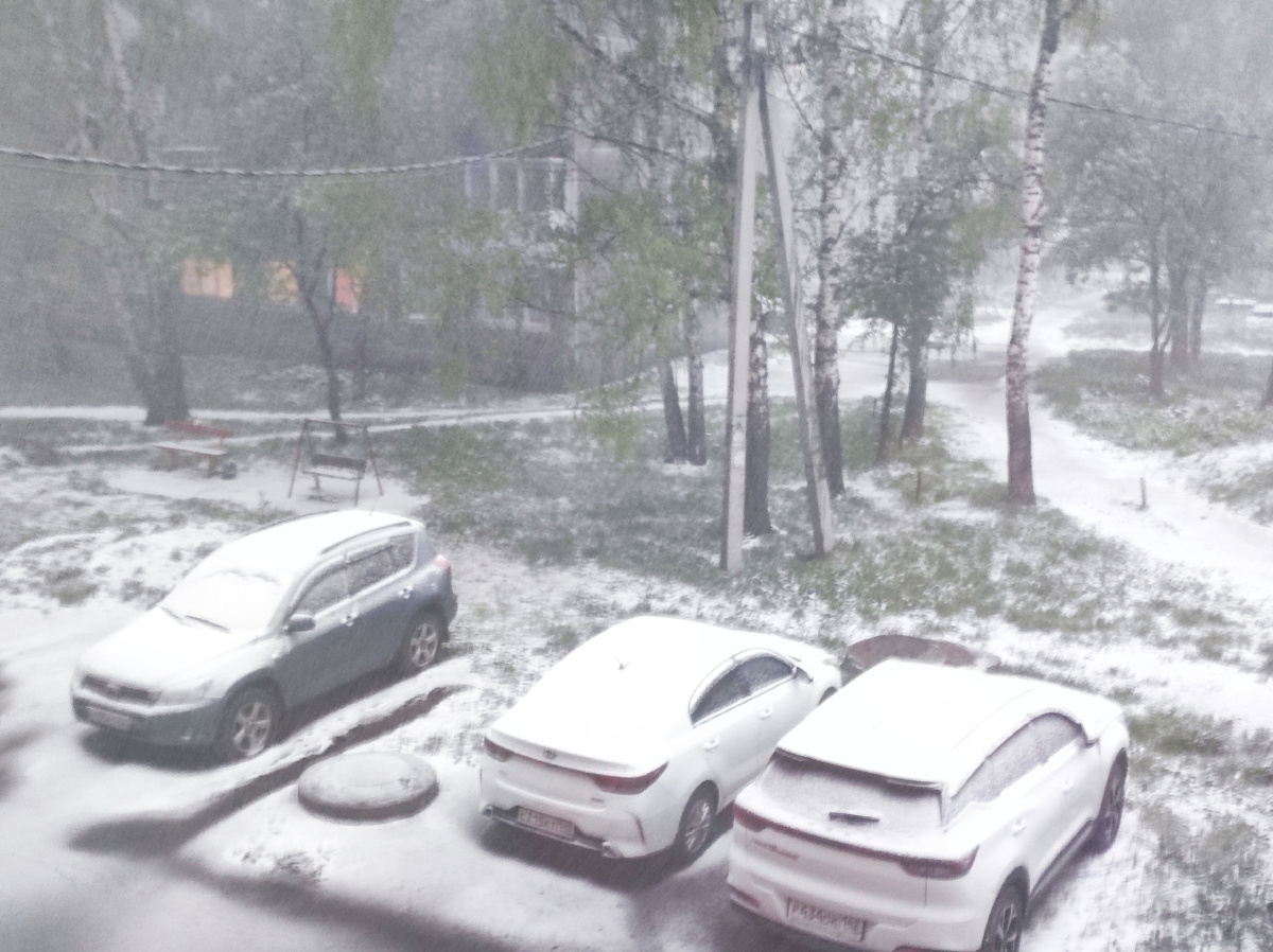 Фото автора. Просто снежный май в Сибири!😃❄️⛄