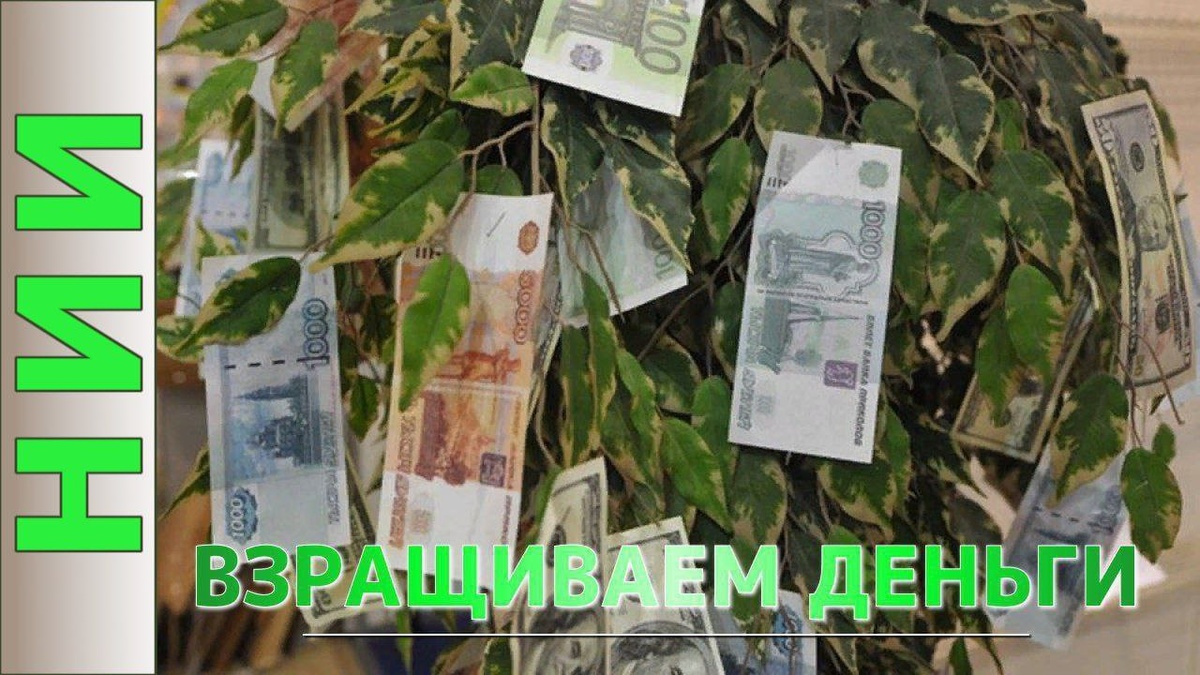 Банер для тгк НИИ ДЕРГОВЕЦ