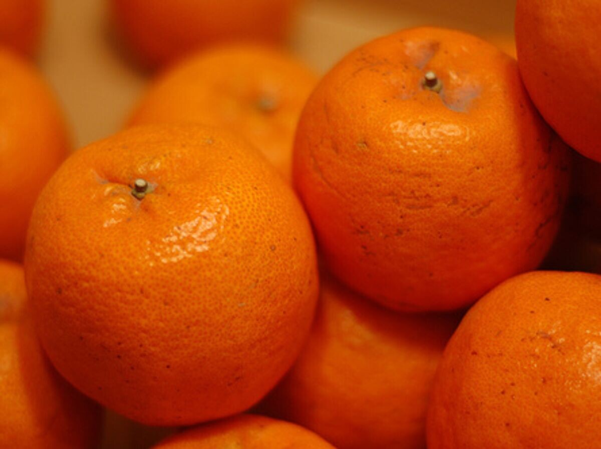    # Мандарины© flickr.com / sonictk