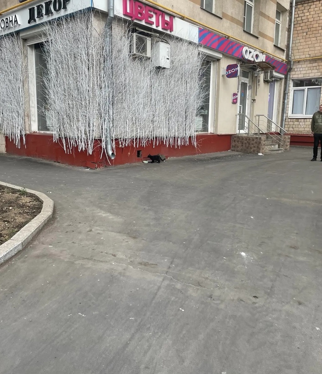 Фото автора
