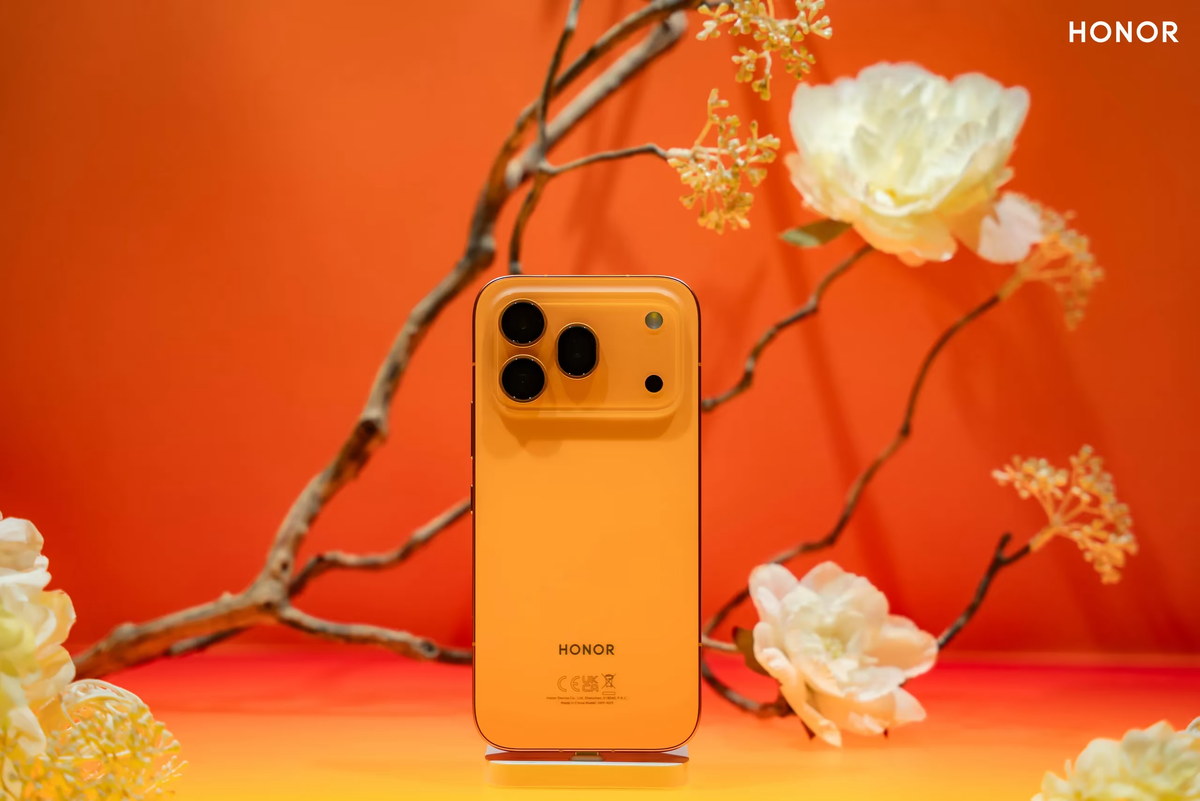 Иллюстрация: Honor  📷
