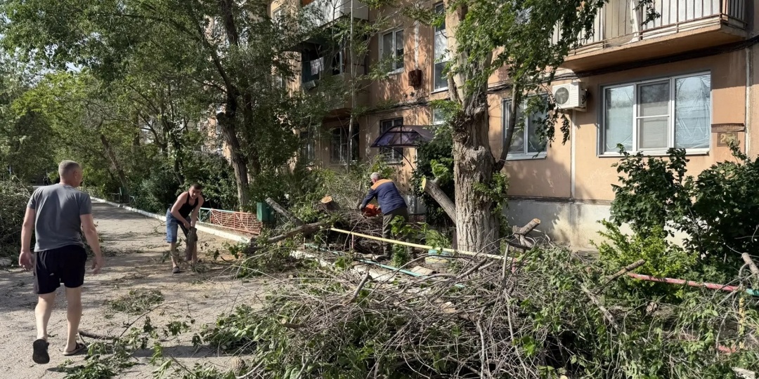 Ветер в Астрахани повалил десятки деревьев и оборвал провода