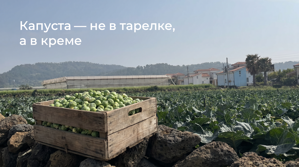 Мини-брюссельская капуста — плотные кочаны с высокой концентрацией серосодержащих соединений