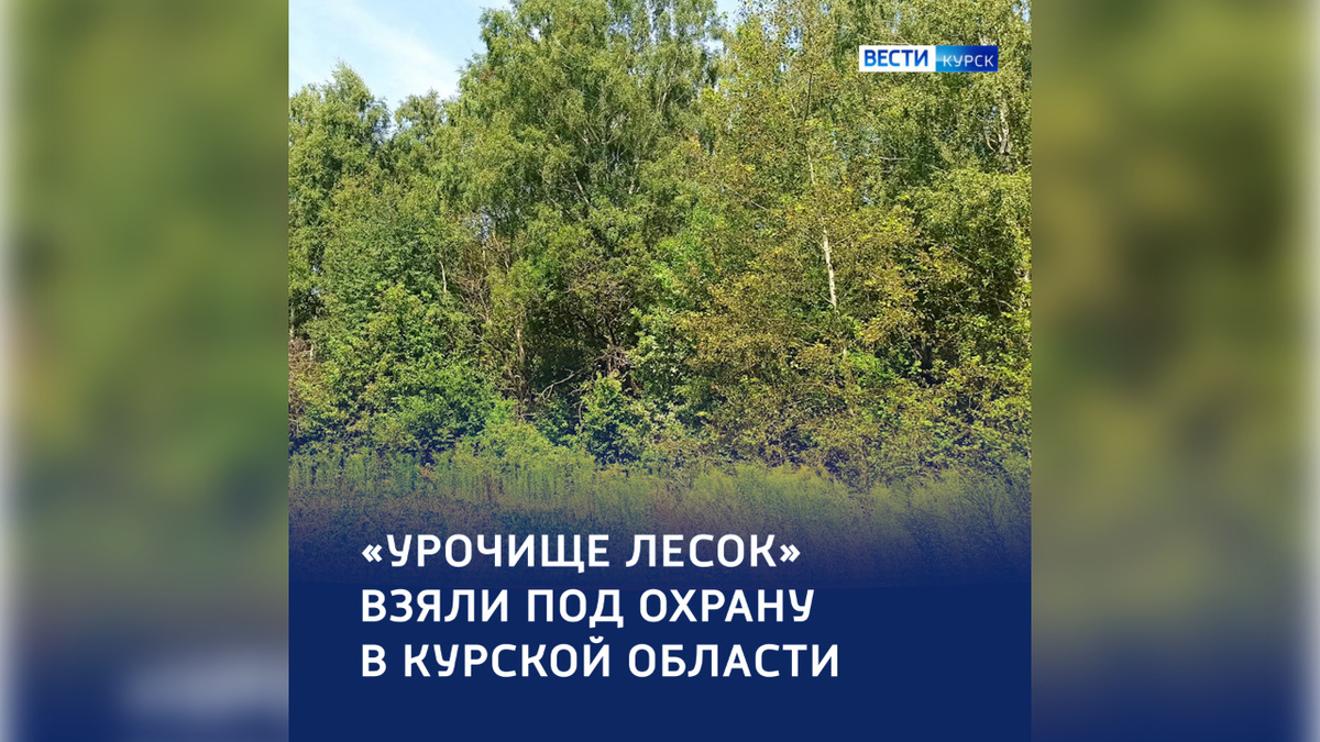    В Курской области создан еще один памятник природы регионального значения — «Урочище Лесок»
