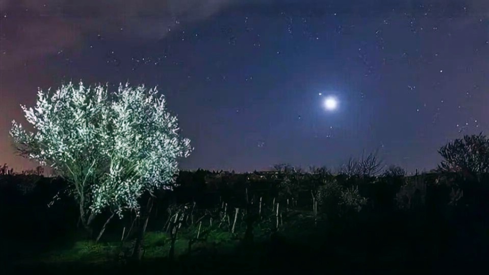 Народный календарь 13 мая
