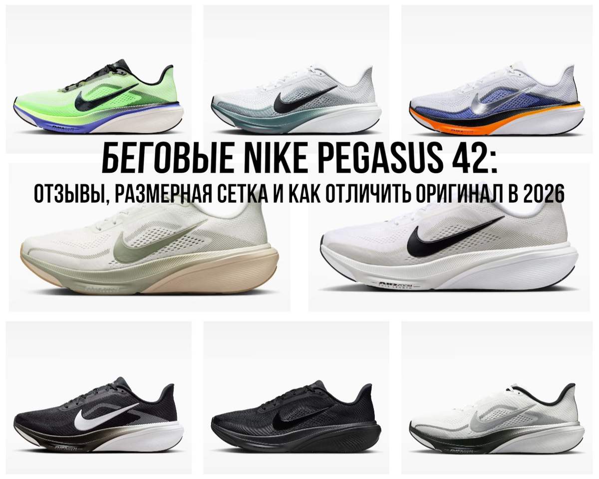 Беговые Nike Pegasus 42