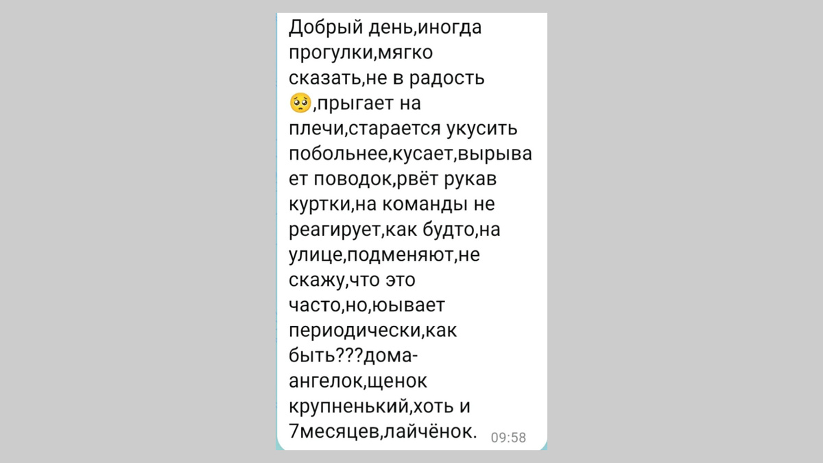 На фото вопрос