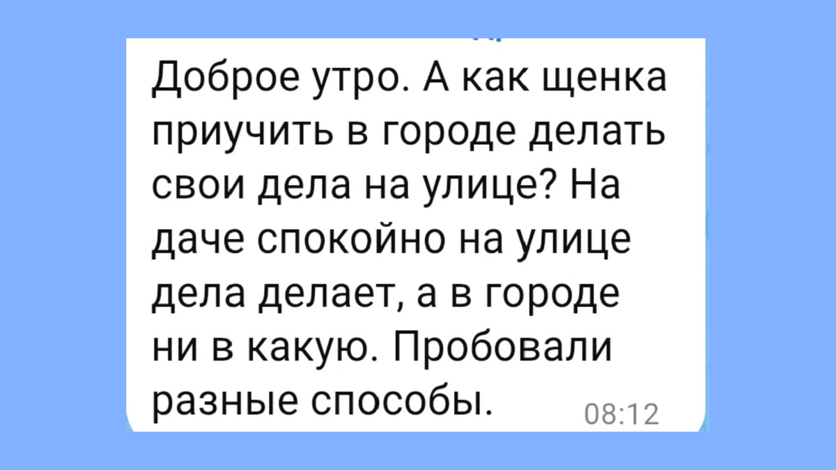 Вопрос