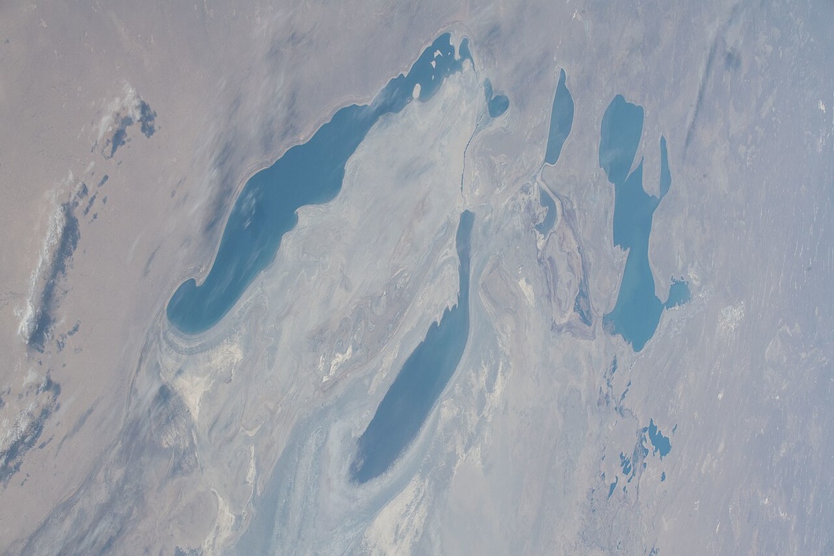 Аральское море сегодня (снимок из ксмоса).