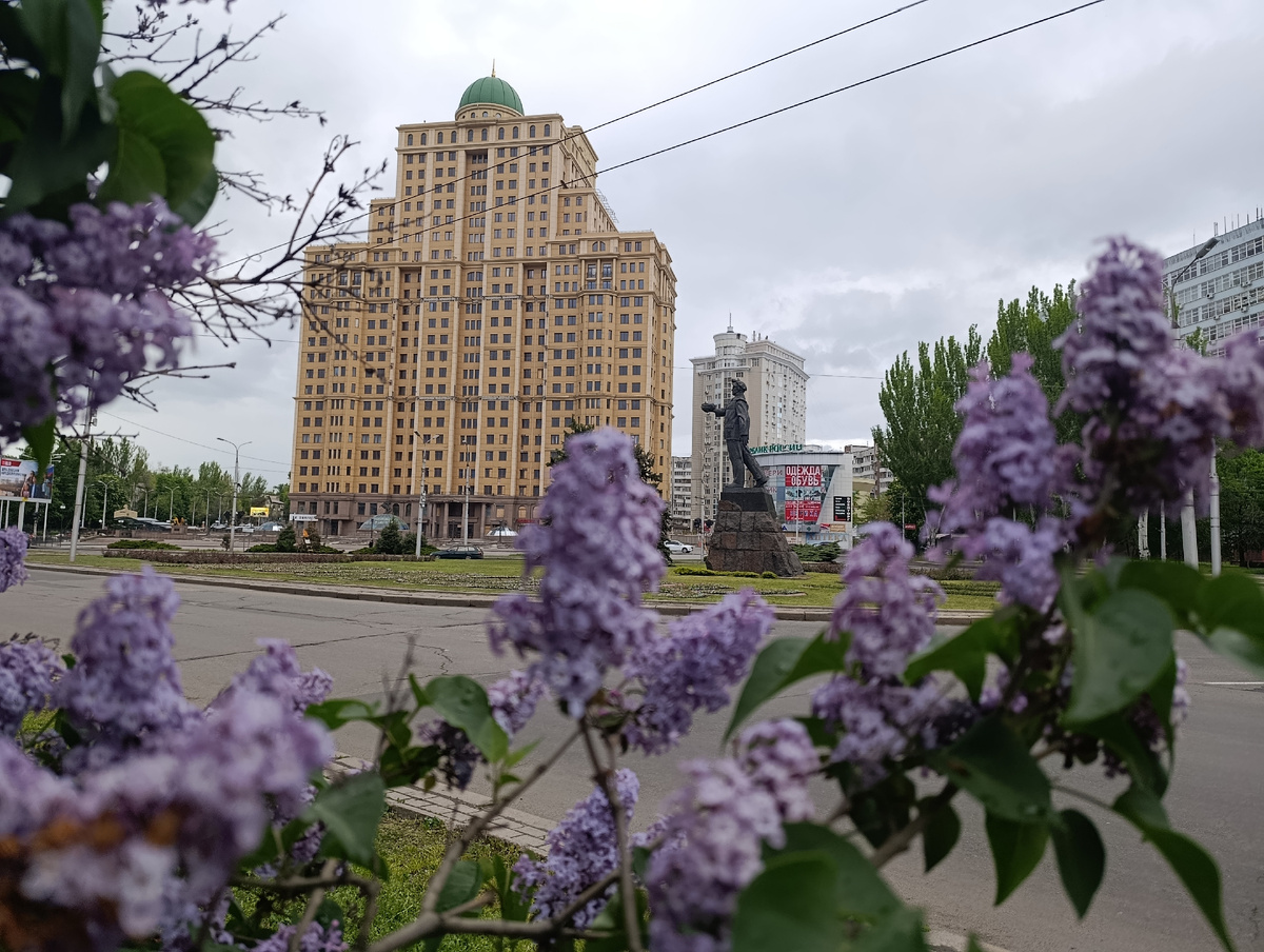 Сирень повсюду