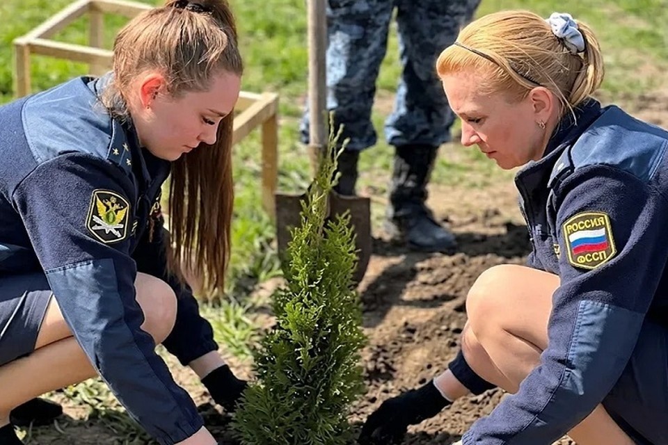    Судебные приставы ДНР высадили десять деревьев в рамках акции «Сад памяти». Фото: ГУФССП России по ДНР
