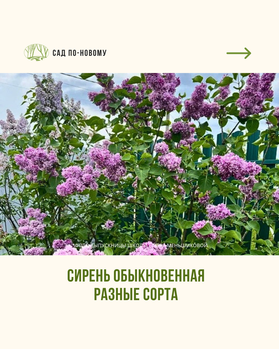 Листайте галерею по стрелочке вправо