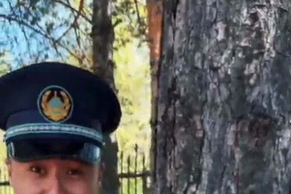 Кадр из видео/Соцсети   📷