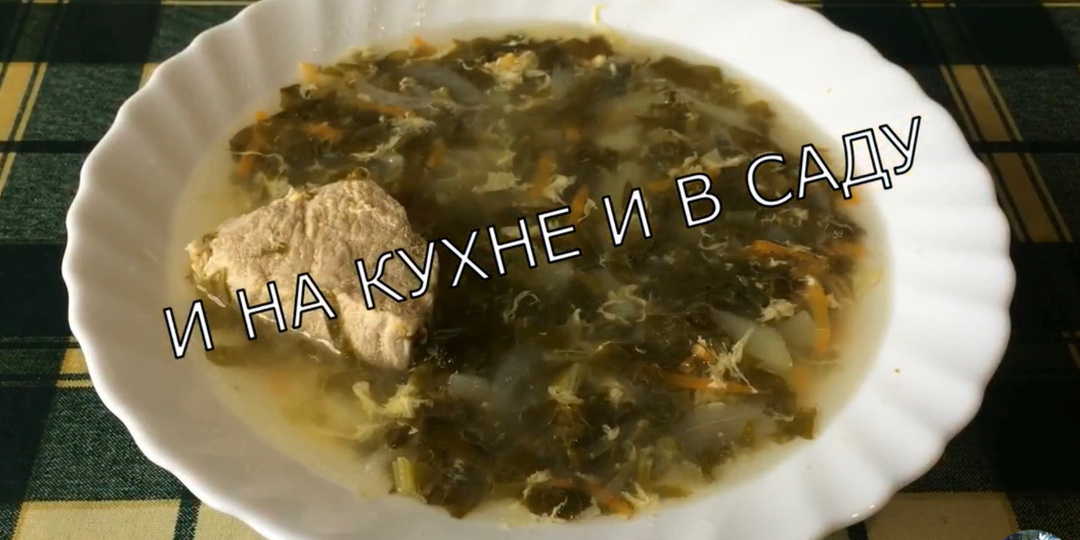 Щавель. Суп из щавеля или щавелевые щи. Полезно и вкусно!
