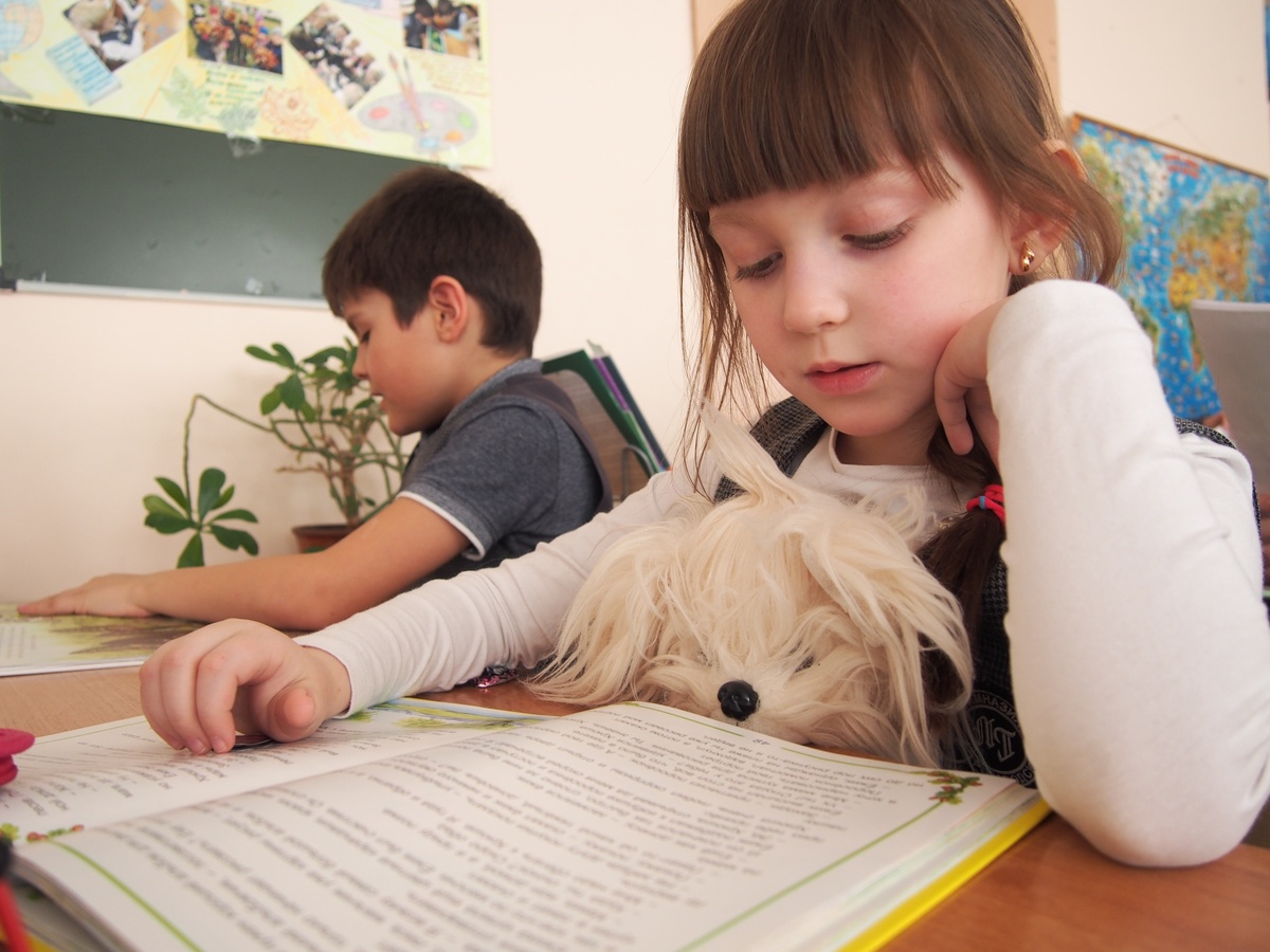    фото: © Мария Голубева
