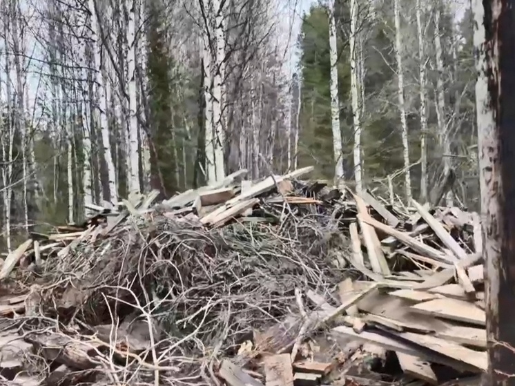     Скрин из видео ОНФ Архангельской области