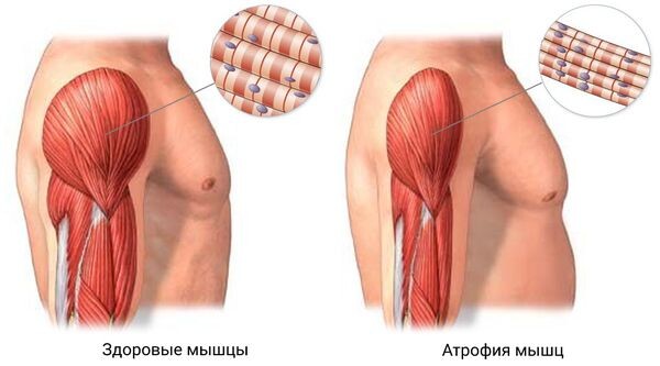 фото из открытого источника