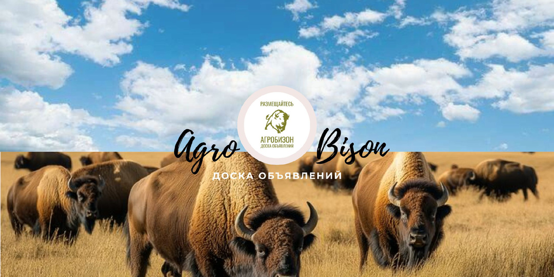 Где продавать оптом: аналитика и объявления для агробизнеса
