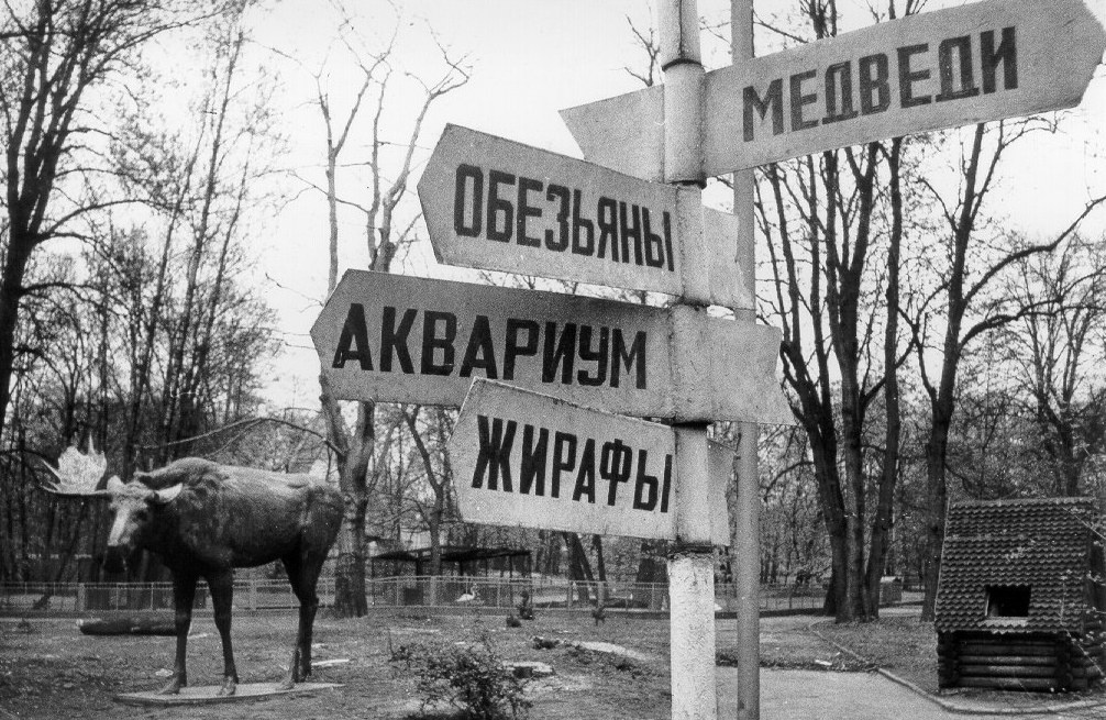 Бронзовый лось в Калининградском зоопарке ещё не знает, что однажды вернётся на свою историческую родину