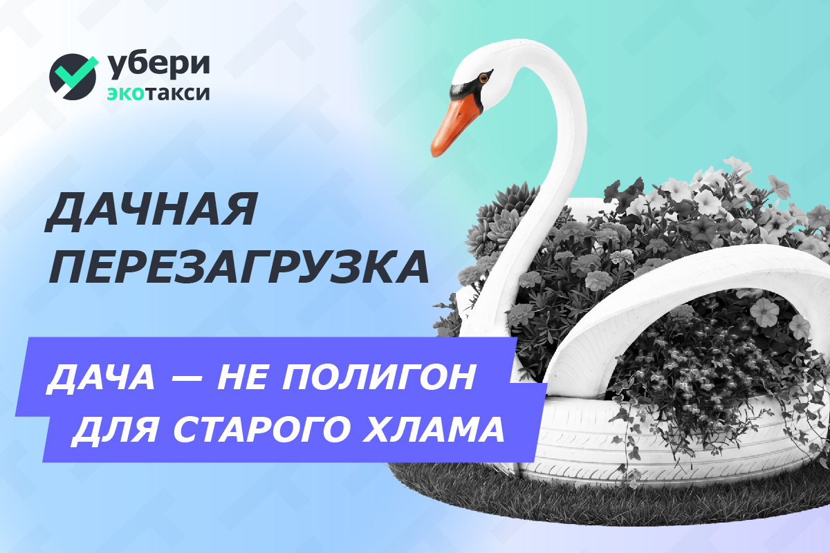 Дачная перезагрузка: как превратить сезонную уборку в стратегию осознанного комфорта 🌿