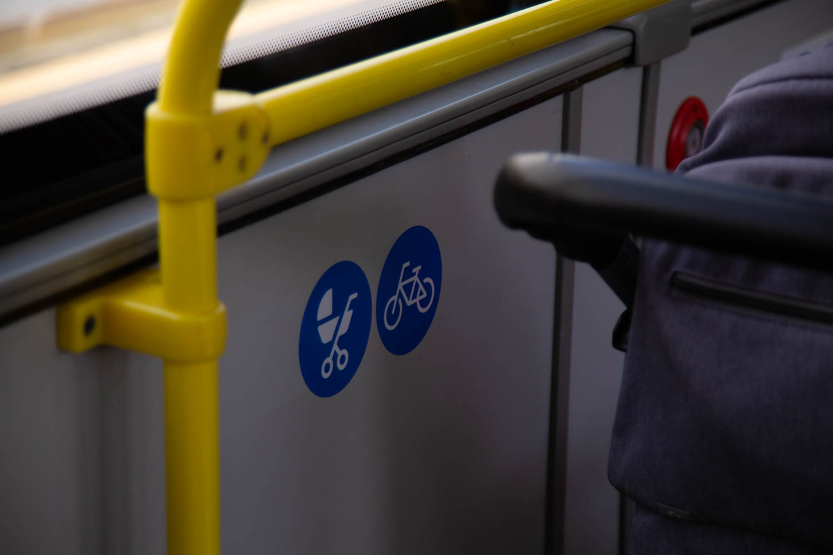    Фото: Общественная служба новостей