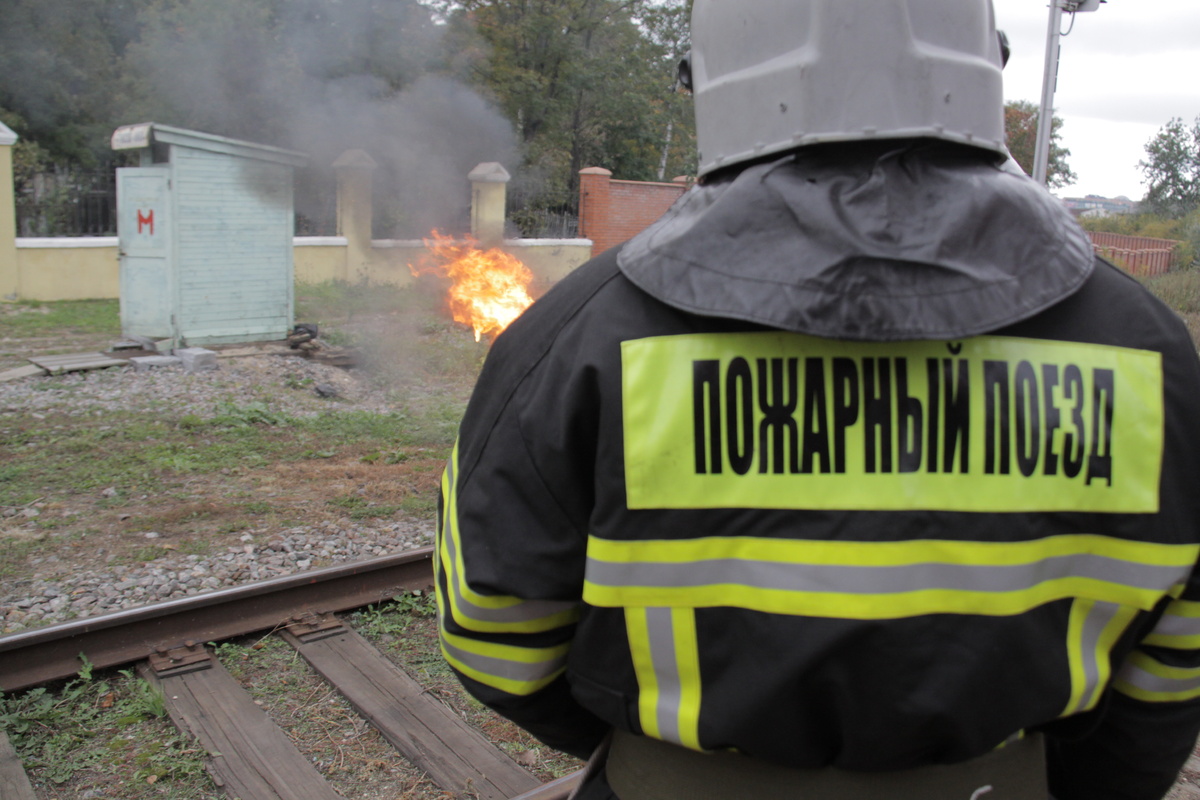    Фото: Общественная служба новостей