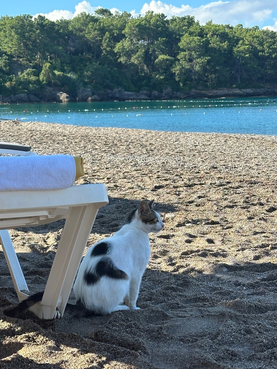 Хочется в тепло и к морю. Фото из личного архива автора