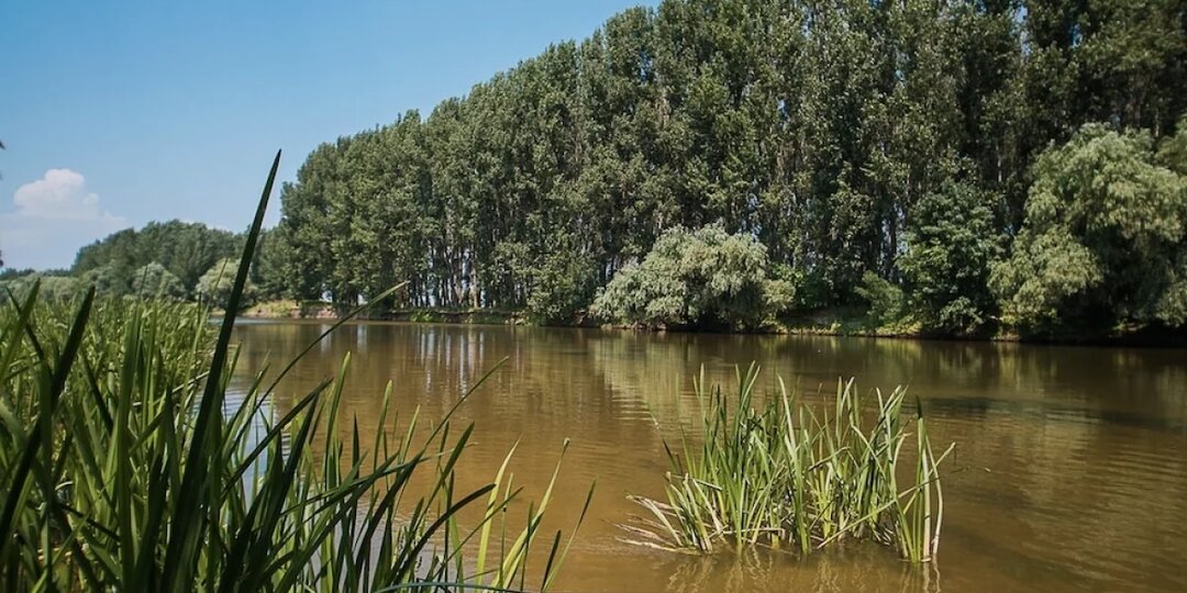 Астраханское половодье пошло на спад: ильмени наполнились водой