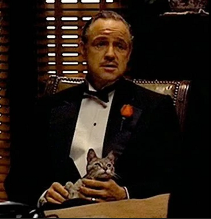© The Godfather / Paramount Pictures