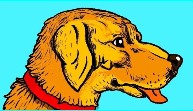 Только 1 из 10 проходит эти 5 заданий на внимание без ошибок. А вы справитесь?