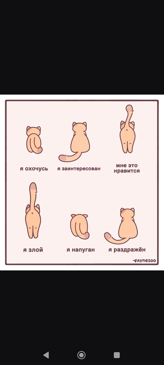 ! НЕ МОЁ! 