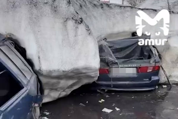 Кадр из видео/Telegram-канал «Amur Mash»  📷