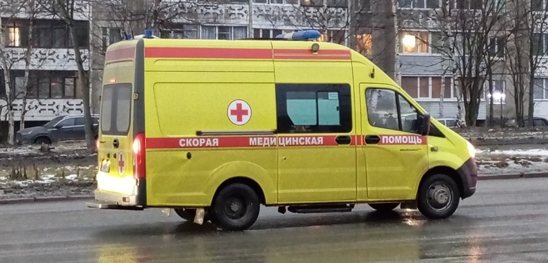 Десятки людей устроили побоище на птицефабрике в Ленобласти