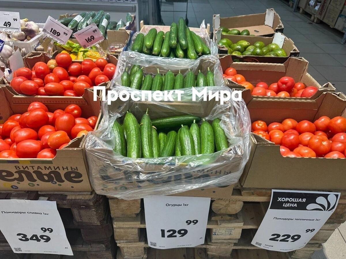    Огурцы в «Хорошем»   prmira.ru