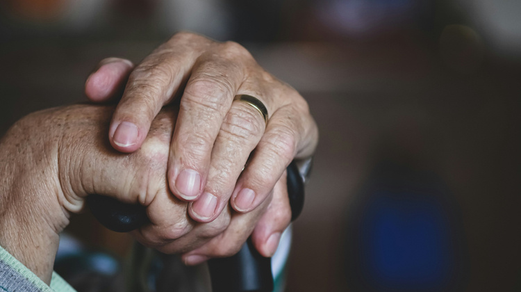 Alexas_Fotos/Unsplash