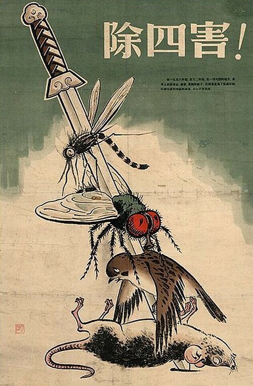 Изображение взято с сайта https://upload.wikimedia.org/wikipedia/commons/thumb/6/6f/Kill_bird_and_insect.jpg/500px-Kill_bird_and_insect.jpg