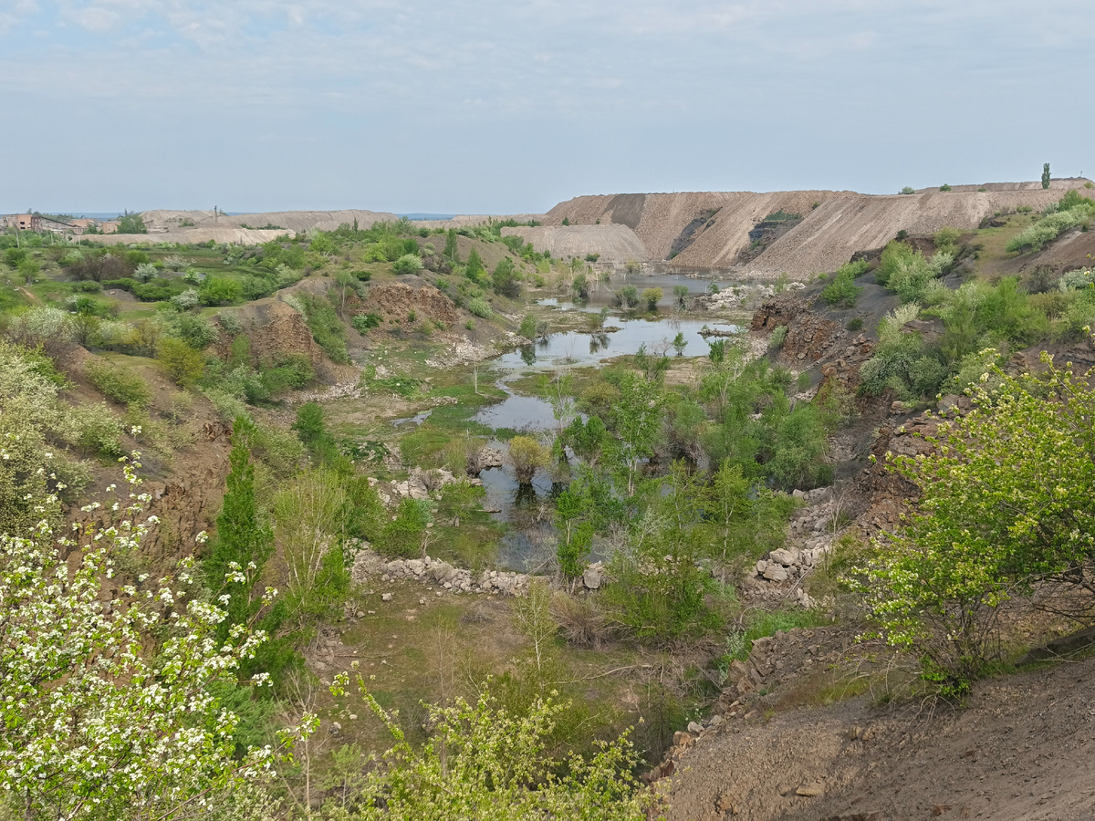 все фото автора.