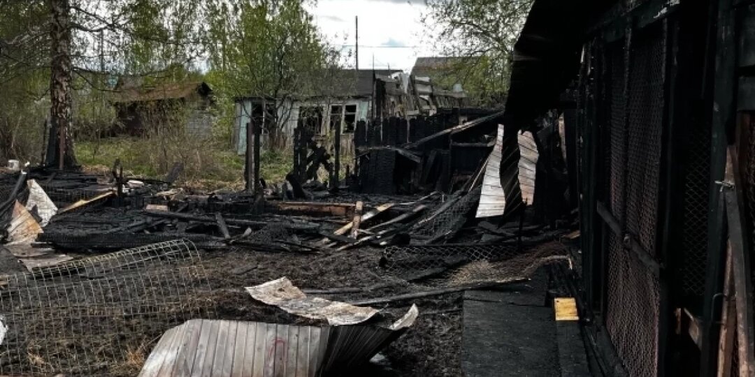 Волонтёры просят помочь сгоревшему в Перми приюту «Собачье сердце»