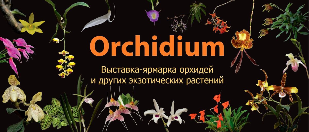 Из открытых источнтков Яндекс.